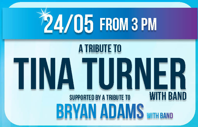 Tina Turner Tribute