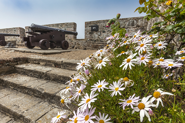 3 star hotel spring break.