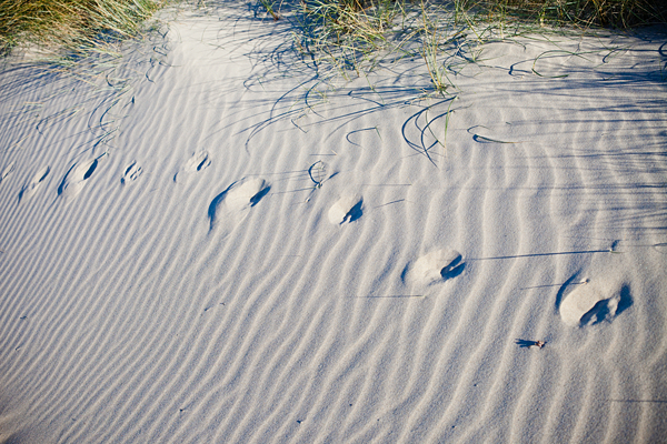 Summer breaks June to September.